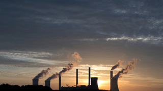 Y Combinator Is Funding Some Seriously Wild Ideas For Sucking Carbon Out of the Air <em></em>